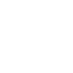播放